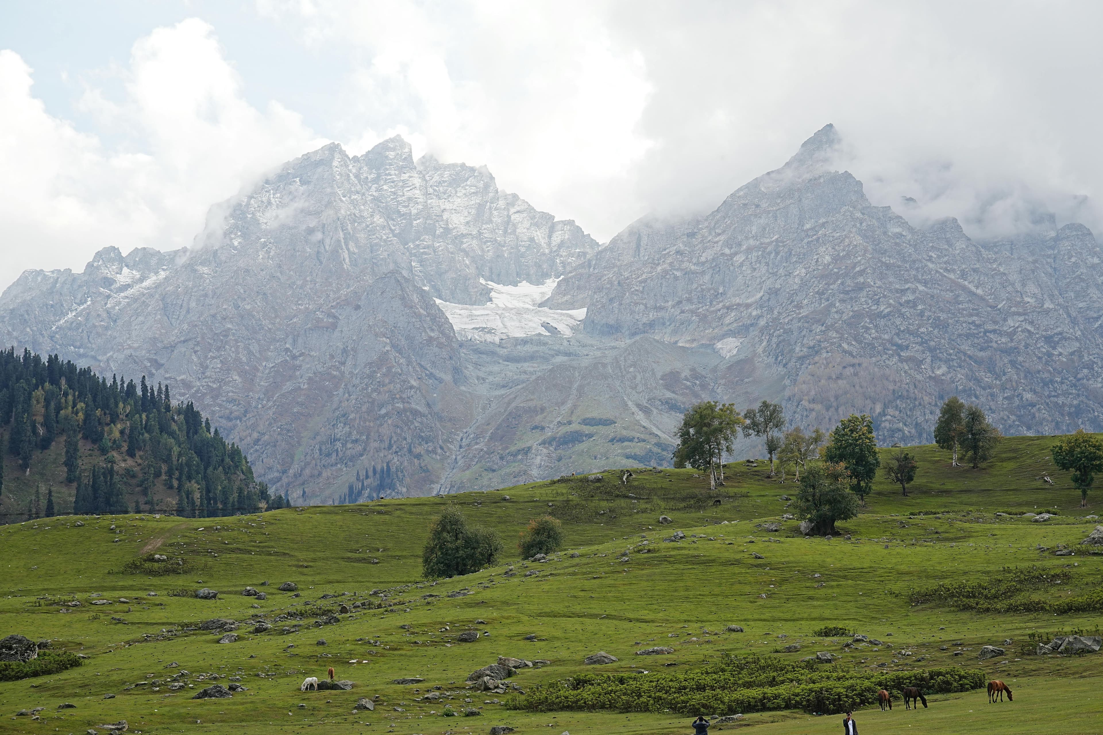 Forest landscape in Khyber Pakhtunkhwa